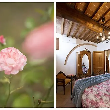 Belvedere Di Giulia Vakantiehuis San Gimignano